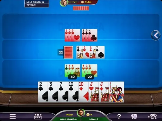 Tangkapan skrin Rummy 500 - Card Game iPad 
