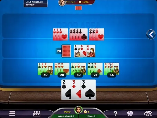 Tangkapan skrin Rummy 500 - Card Game iPad 