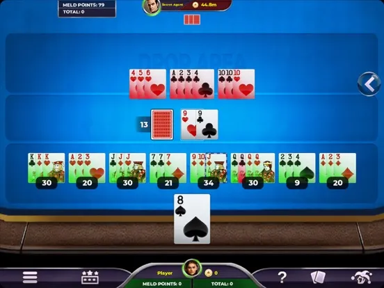 Tangkapan skrin Rummy 500 - Card Game iPad 