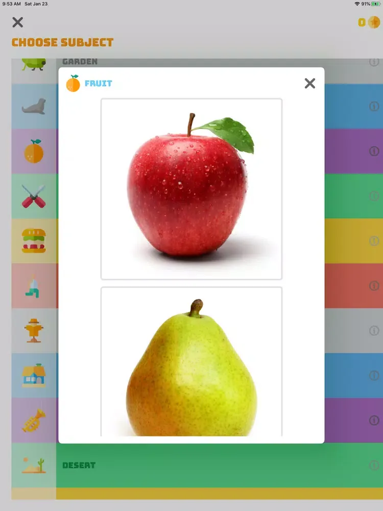 تصاویر PUPP English iPad 