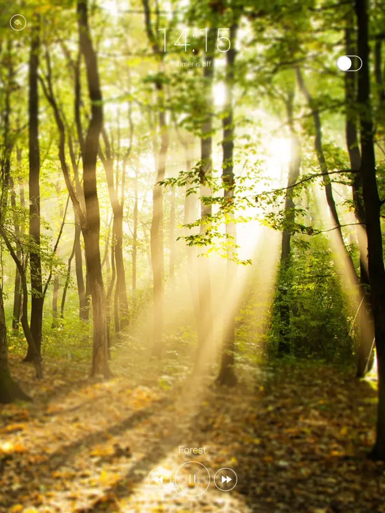 Zrzuty ekranu Voice Of Nature – background music for relaxation and meditation iPad 