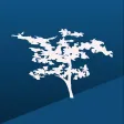 Kirkedal