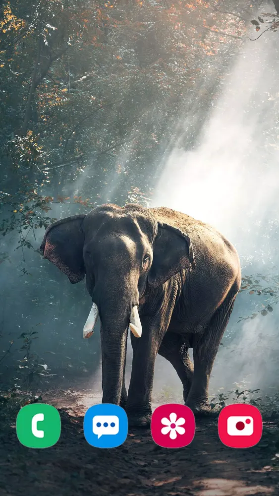 Animal Wallpapers Screenshots