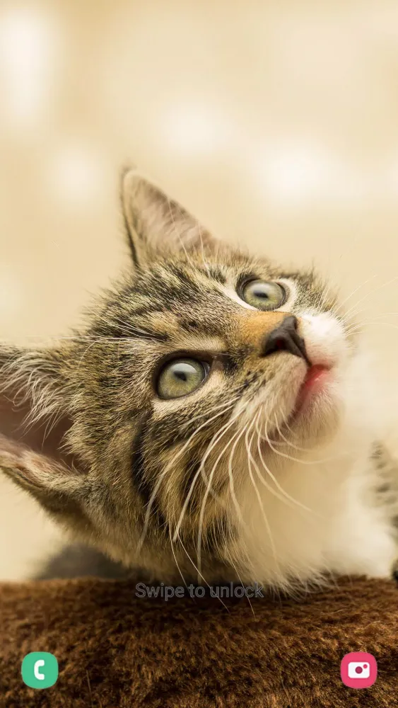 Animal Wallpapers Screenshots