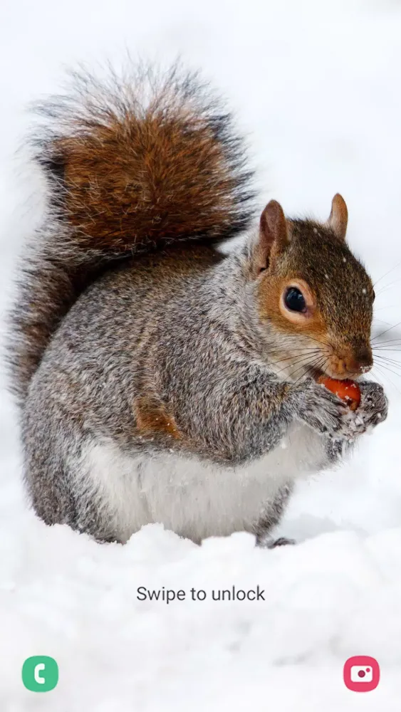 Animal Wallpapers Screenshots