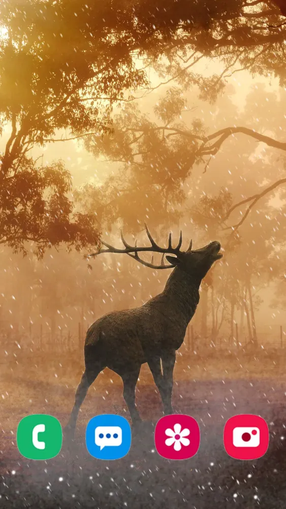 Animal Wallpapers Screenshots