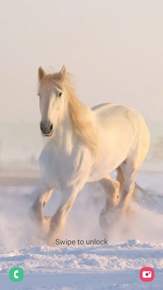 Animal Wallpapers Screenshots