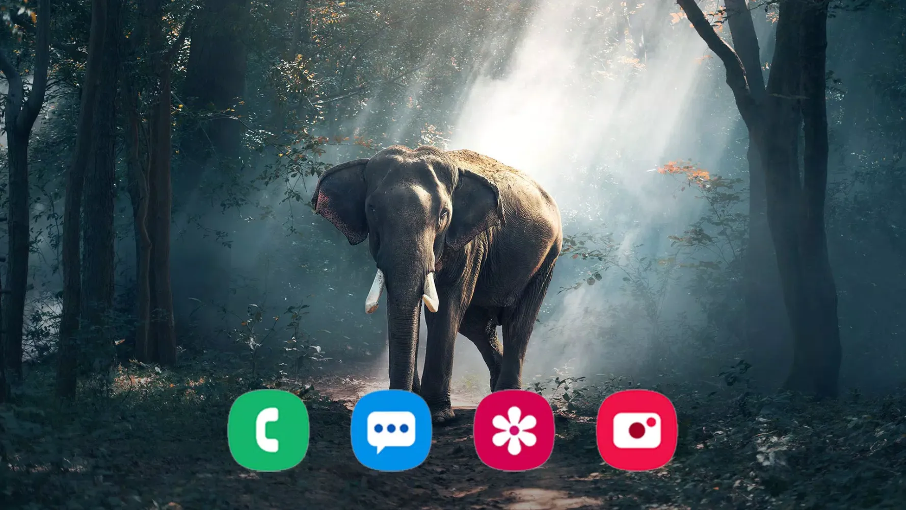 Animal Wallpapers Screenshots