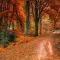 Autumn Wallpapers