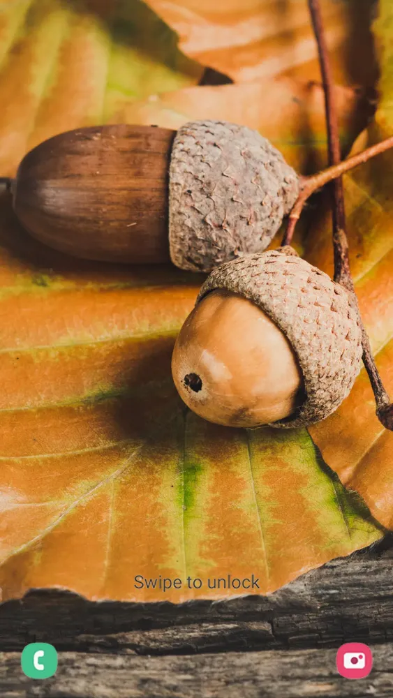 Capturas de pantalla de Autumn Wallpapers