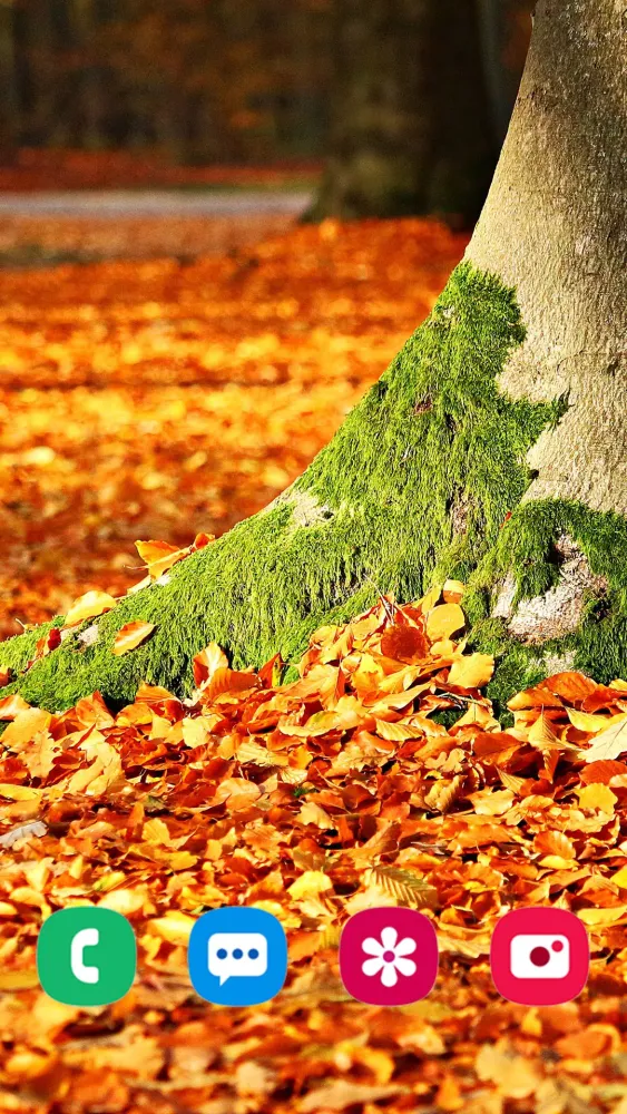 Capturas de pantalla de Autumn Wallpapers