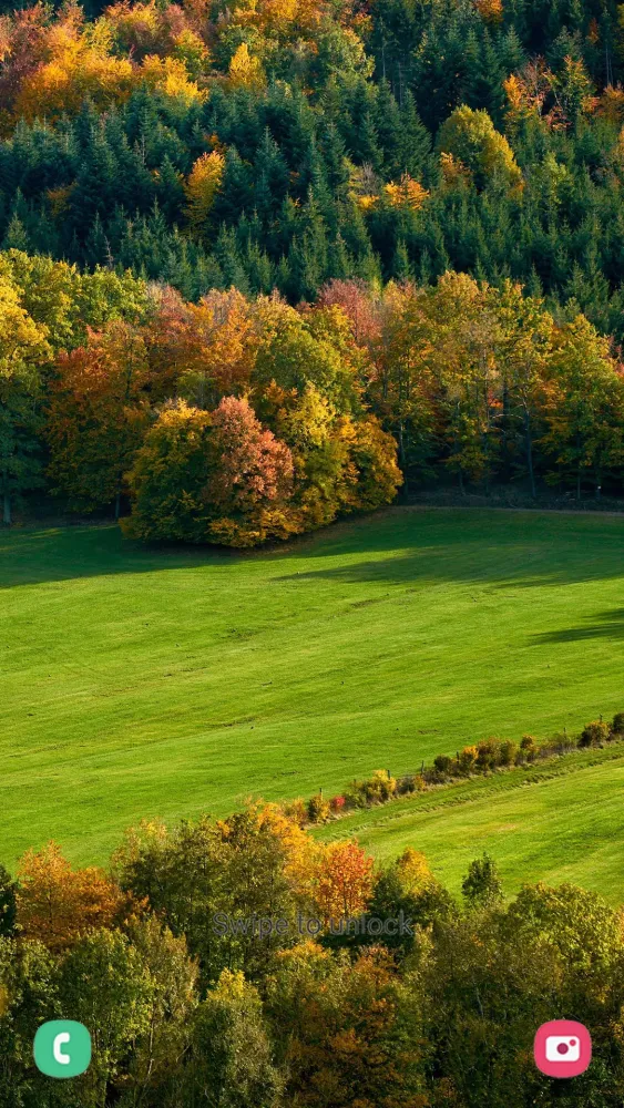 Capturas de pantalla de Autumn Wallpapers