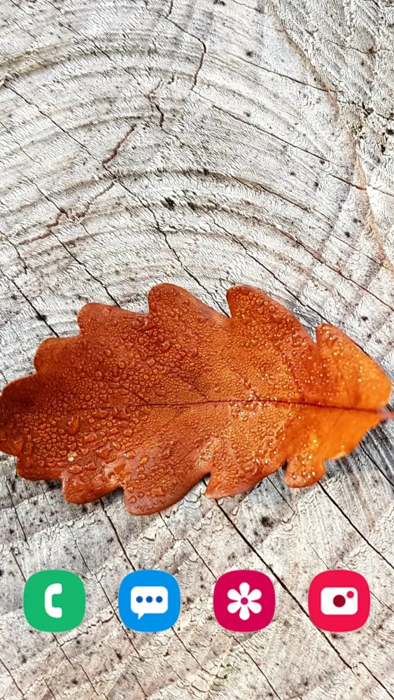 Capturas de pantalla de Autumn Wallpapers