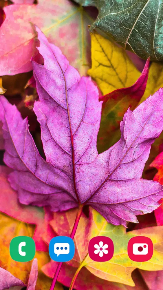 Capturas de pantalla de Autumn Wallpapers