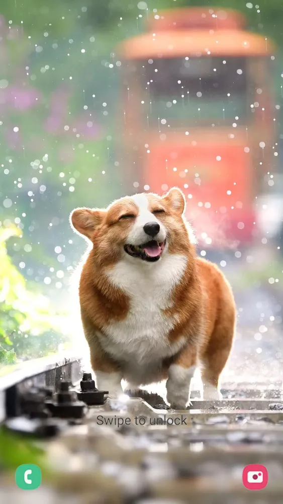 Dog Wallpapers スクリーンショット