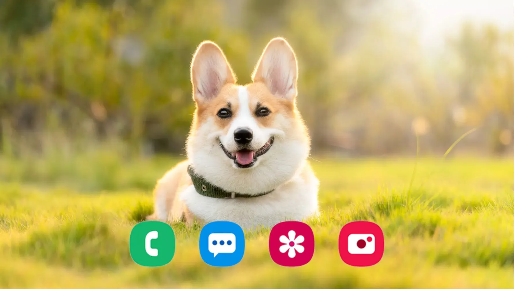 Dog Wallpapers スクリーンショット