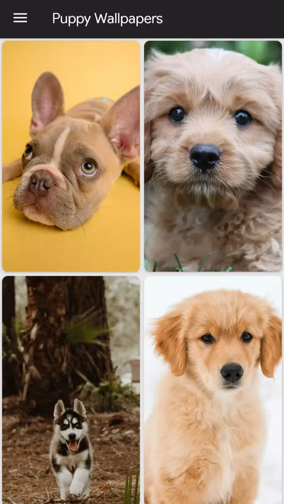 Puppy Wallpapers Screenshots