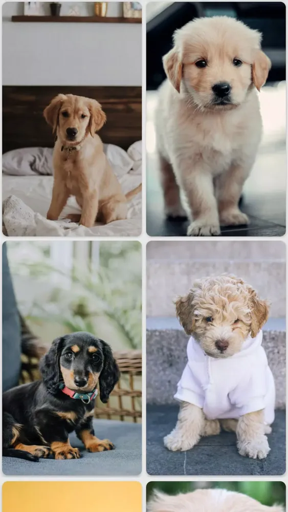 Puppy Wallpapers Screenshots
