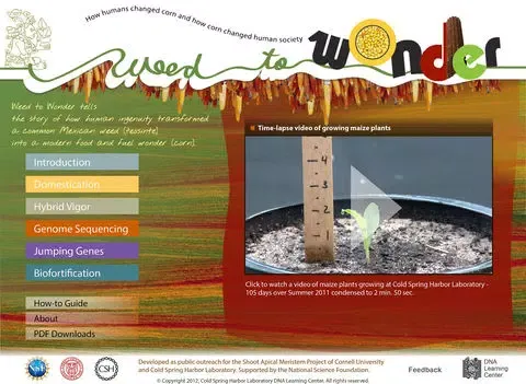 ภาพหน้าจอของ WeedToWonder iPad 