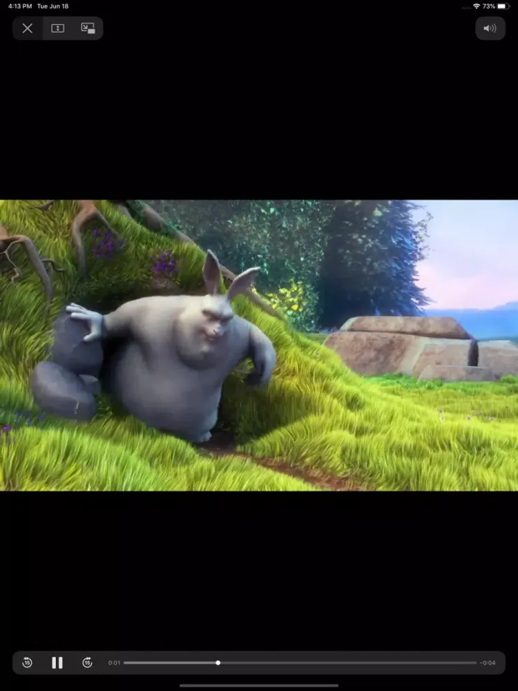 تحويل الفيديو الى صوت تحميل iPad  Screenshots