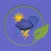 Wowzy Weather