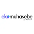 Ekomuhasebe