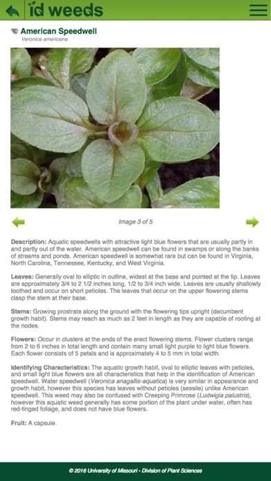 Ảnh chụp màn hình của ID Weeds