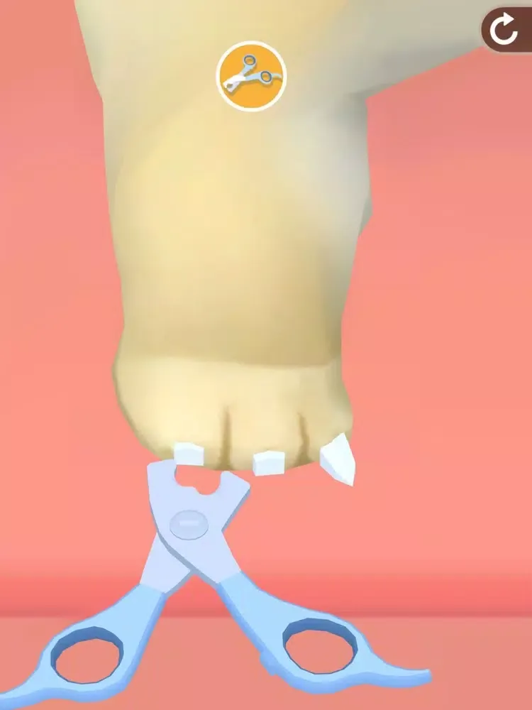 Tangkapan layar pet salon 3D iPad