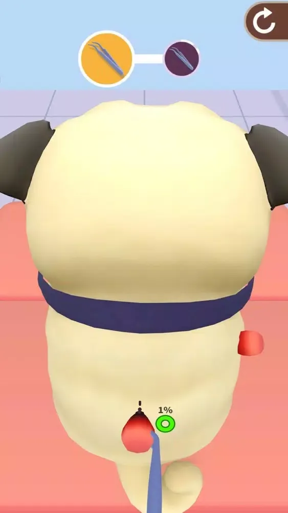 Tangkapan layar pet salon 3D