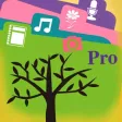 FilesOnTree Pro Lite - Tree File Explorer