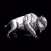 White Buffalo Yoga