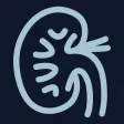 kidney.wiki: learn kidneys kidney.wiki: learn kidneys