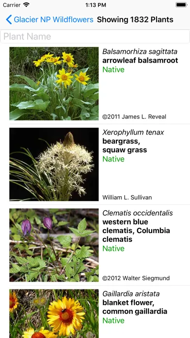 Tangkapan layar Glacier Wildflower Search