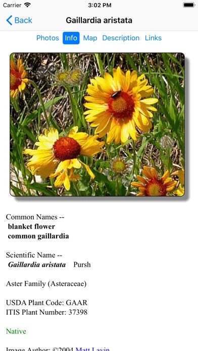 Tangkapan layar Glacier Wildflower Search