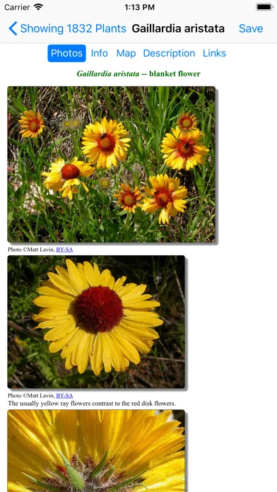Tangkapan layar Glacier Wildflower Search