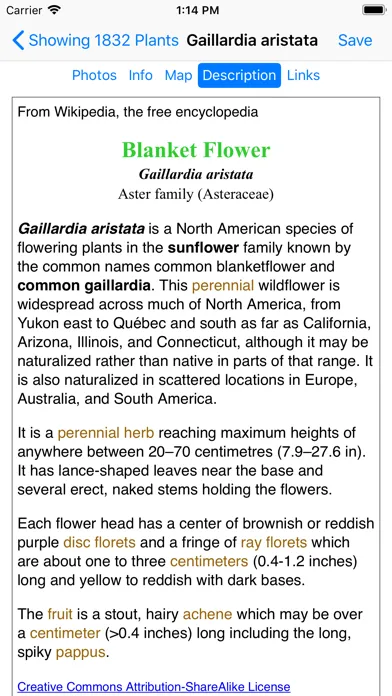 Tangkapan layar Glacier Wildflower Search