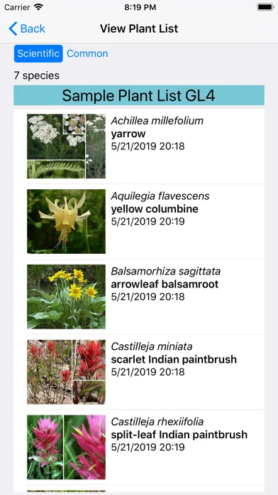 Tangkapan layar Glacier Wildflower Search