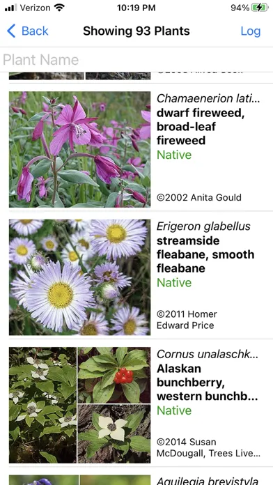 Ảnh chụp màn hình của Alaska Wildflowers North