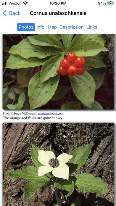 Ảnh chụp màn hình của Alaska Wildflowers North
