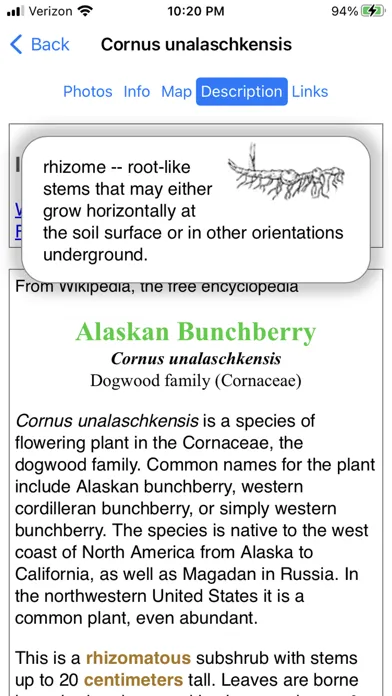 Ảnh chụp màn hình của Alaska Wildflowers North