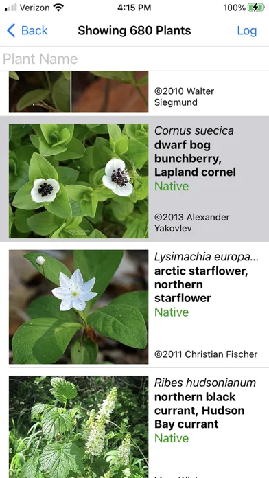 Alaska Wildflowers SW應用截圖