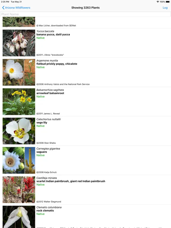 Capturas de pantalla de Arizona Wildflowers iPad 