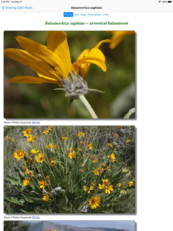 Capturas de pantalla de Arizona Wildflowers iPad 