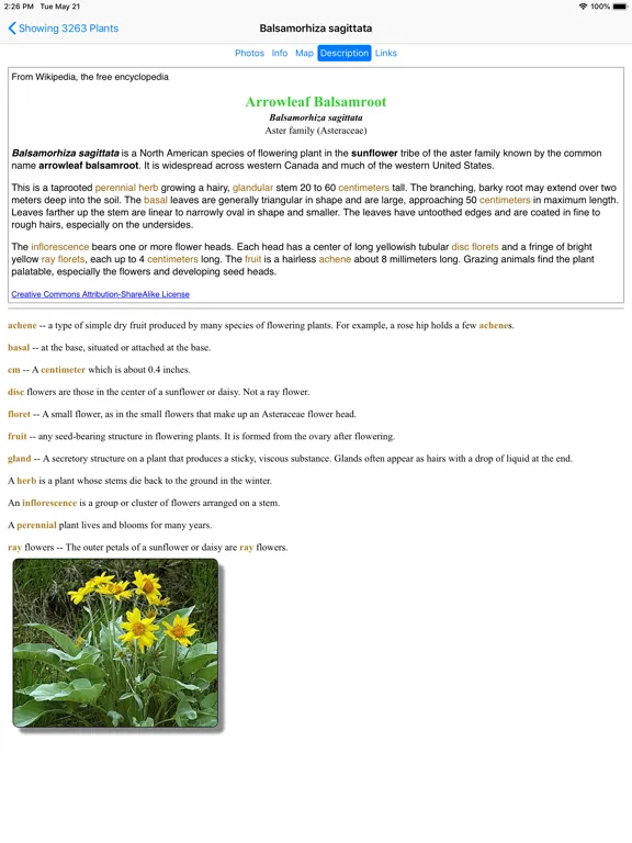 Capturas de pantalla de Arizona Wildflowers iPad 
