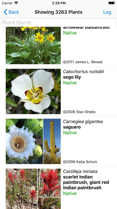 Capturas de pantalla de Arizona Wildflowers