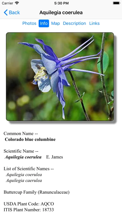 Capturas de pantalla de Arizona Wildflowers