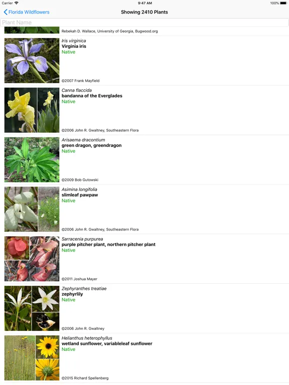 صور Florida Wildflowers iPad 