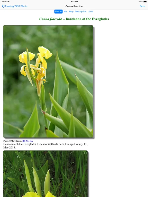 صور Florida Wildflowers iPad 