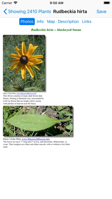 صور Florida Wildflowers