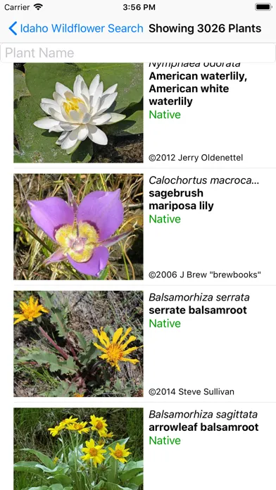 Idaho Wildflower Search應用截圖